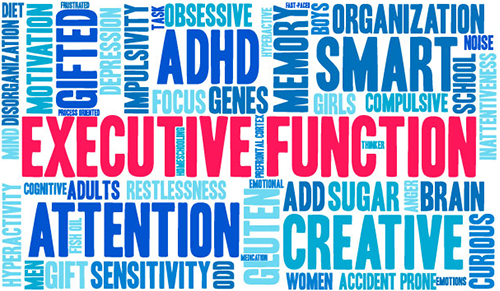 Executive Functioning Skills and How Can It Improve My Child’s Education